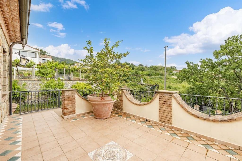 La Villa Di Nonna Angela Pisciotta Exterior foto